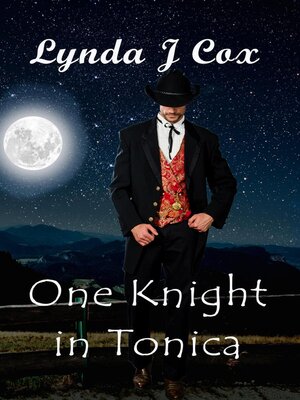 cover image of One Knight in Tonica